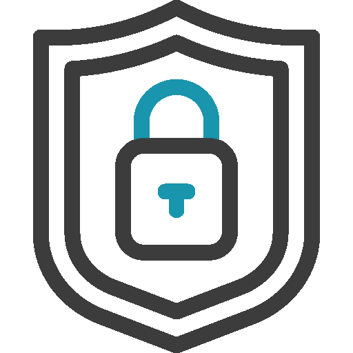 Domain Theft Protection